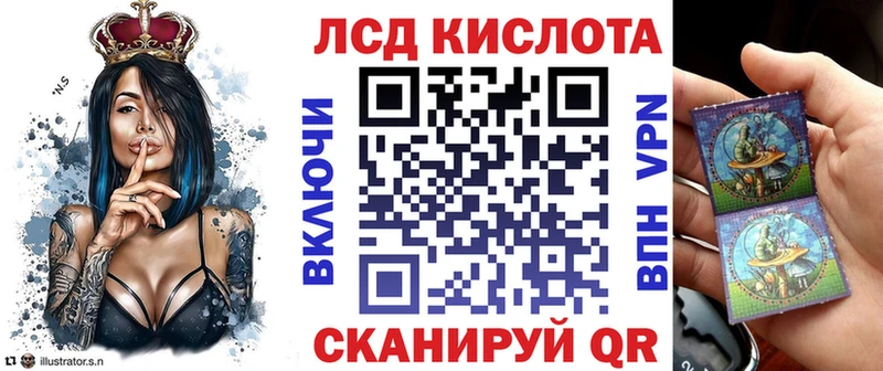 где купить наркоту  Елизово  Марки N-bome 1,8мг 