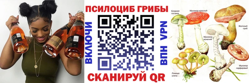 Псилоцибиновые грибы GOLDEN TEACHER блэк спрут Елизово наркошоп
